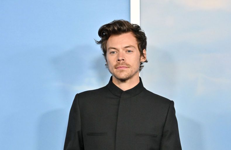 Harry Styles unveils his first perfume line - Elle