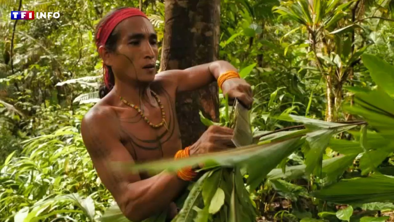 REPORT - Indonesia: meeting the "flower men" of the Sumatra rainforest