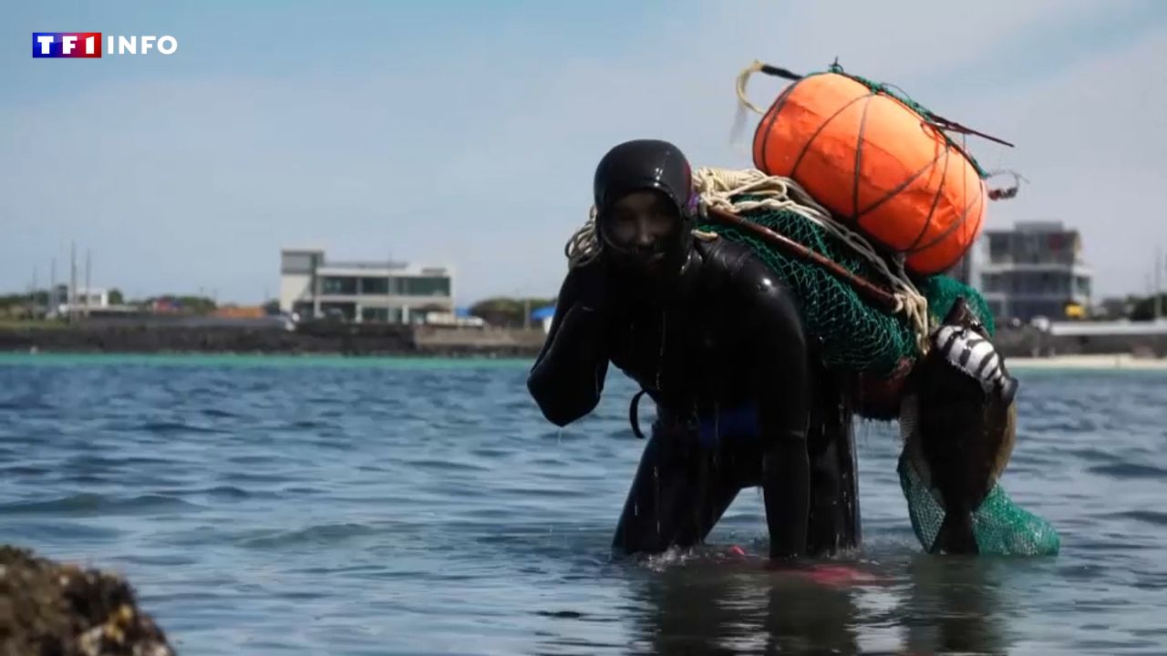 VIDEO - South Korea: the extraordinary divers of Jeju Island